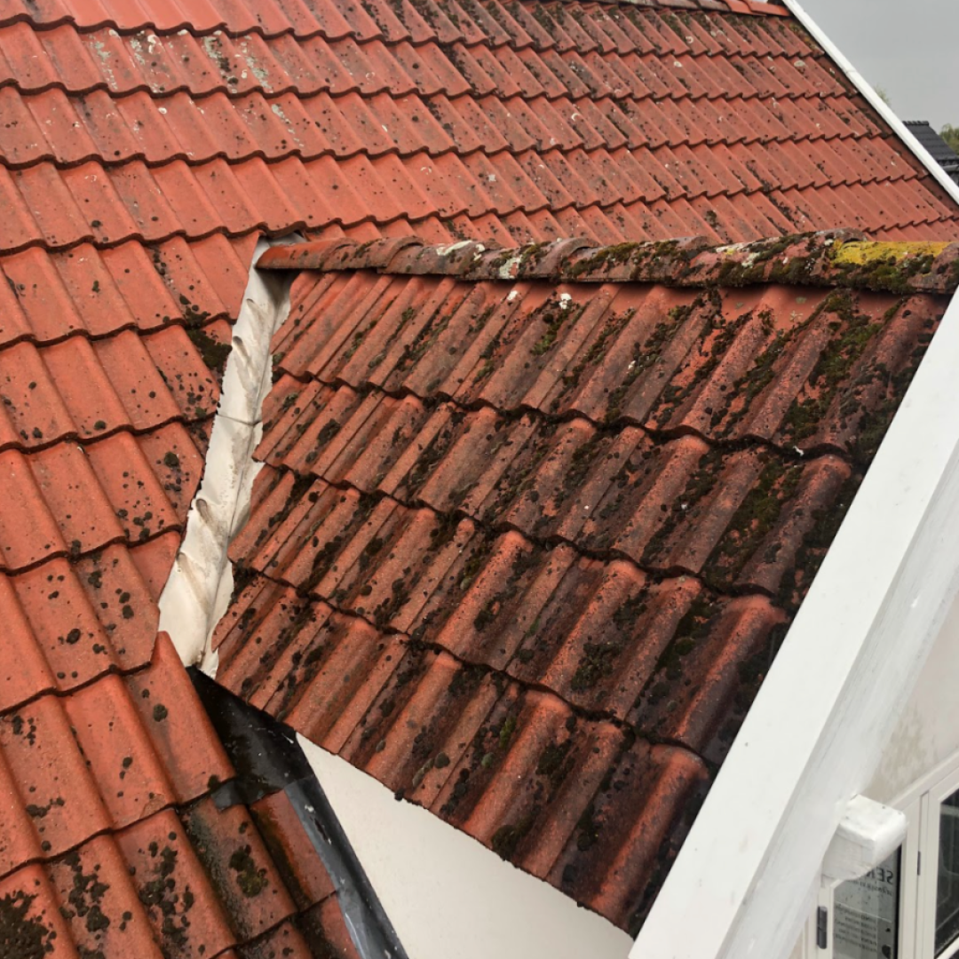 Skærmbillede 2023-04-04 kl. 20.53.57